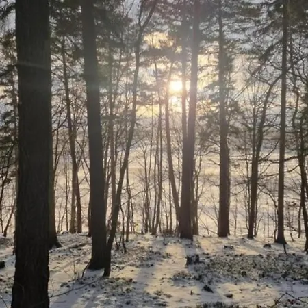 Daire Am Rittergut Giesenstein Gartenblick *
